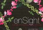 Ensight exhibition