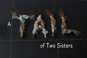 A Tail of Two Sisters